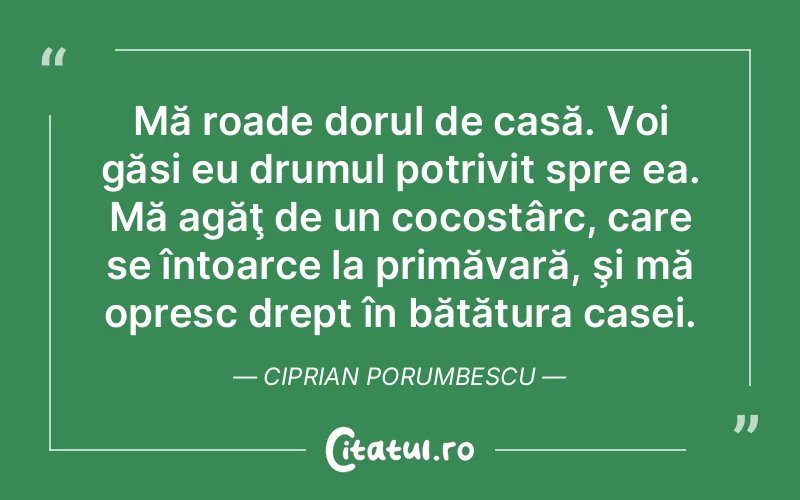 Mă roade dorul de casă. Voi găsi eu drumul potrivit spre ea. Mă agăţ de un cocostârc, care se întoarce la primăvară, şi mă opresc drept în bătătura casei. Ciprian Porumbescu