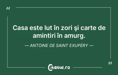 Maimuta, un animal arboricol care se sim...