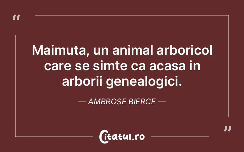 Citat Ambrose Bierce - citate viata