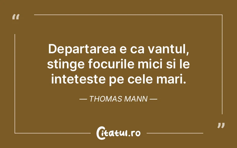 Citat Thomas Mann - citate viata