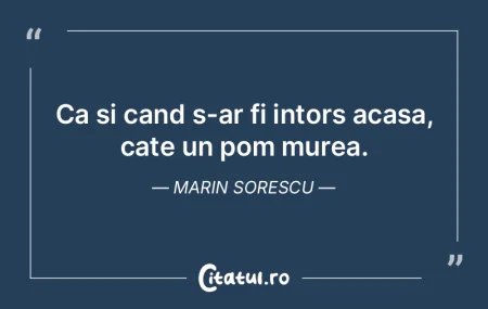Unde nu există templu nu va fi nici aca... Unde nu există templu nu va fi nici aca...