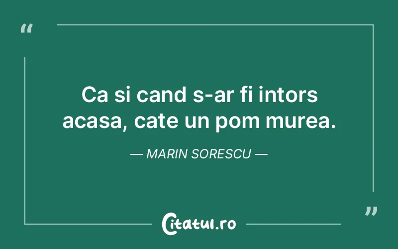 Citat Marin Sorescu - citate viata