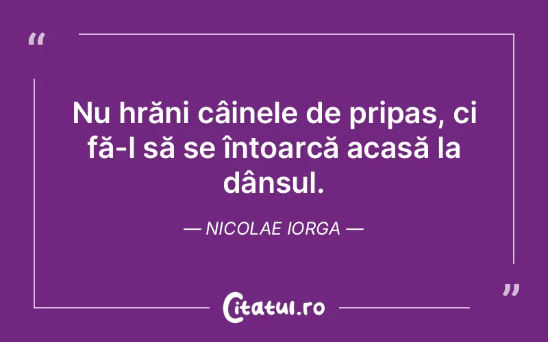 Citat Nicolae Iorga - citate viata