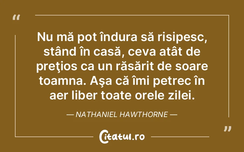 Citat Nathaniel Hawthorne - citate viata