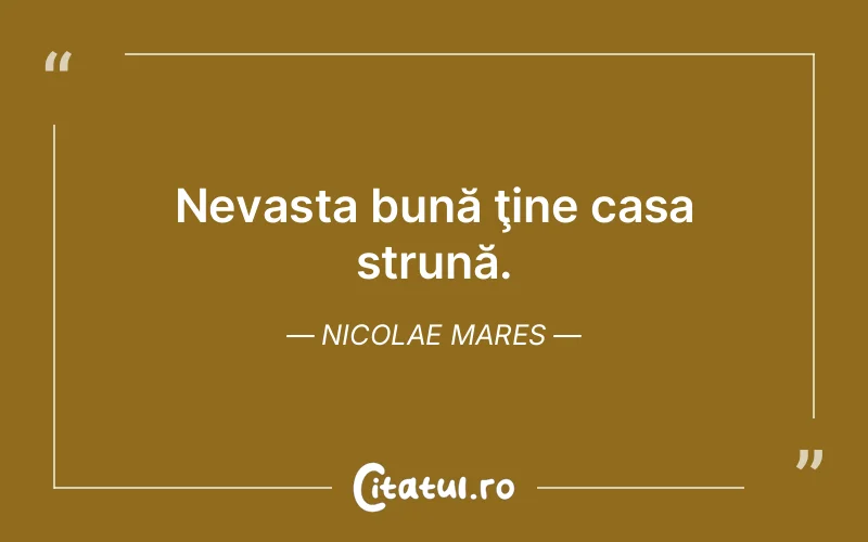 Citat Nicolae Mares - citate viata