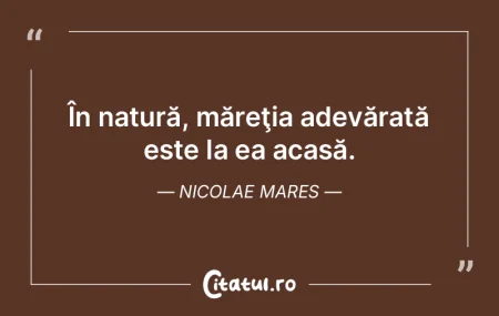 Străinii se simt în România ca acasă... Străinii se simt în România ca acasă...