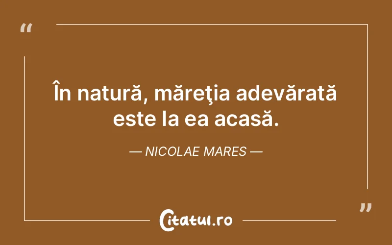 Citat Nicolae Mares - citate viata