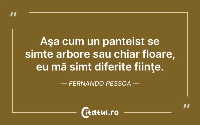 Citat Fernando Pessoa - citate viata