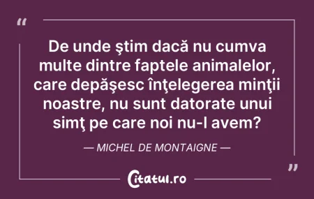 Un tânăr ar trebui să își dezvolte ... Un tânăr ar trebui să își dezvolte ...