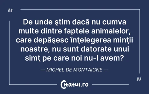 Citat Viață - Citatul.ro