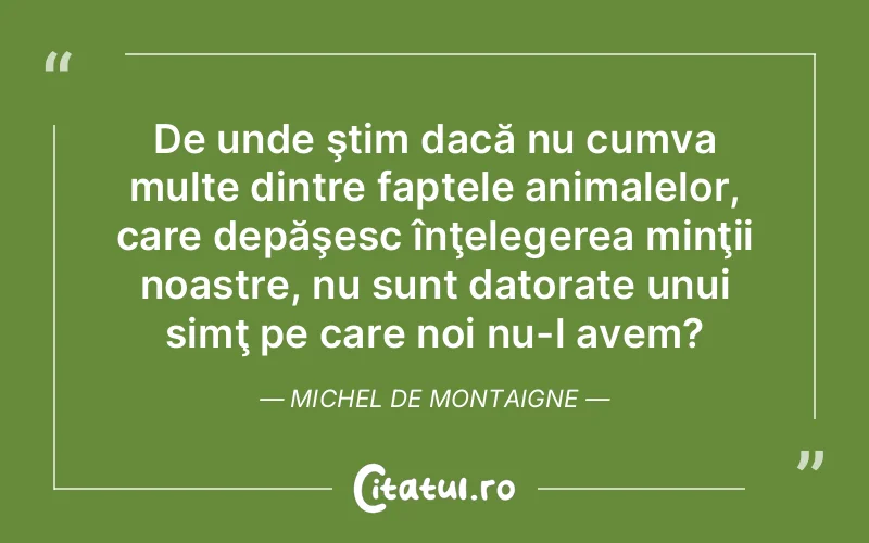 Citat Autor necunoscut - citate viata