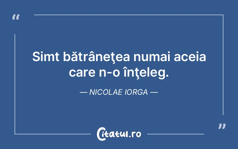 Citat Nicolae Iorga - citate viata