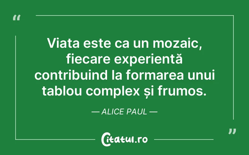 Citat Alice Paul - citate viata