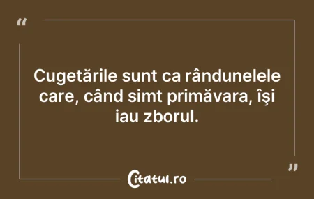 Minulescu e un Villon al cafenelii, vibr...