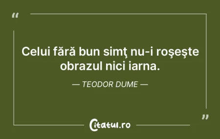 Am atât de multe personalităţi diferi... Am atât de multe personalităţi diferi...