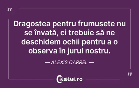 Dragostea pentru frumuseÈ›e nu se învaÈ... Dragostea pentru frumuseÈ›e nu se învaÈ...