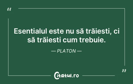 N-am fost şi nu voi fi nimic altceva de...