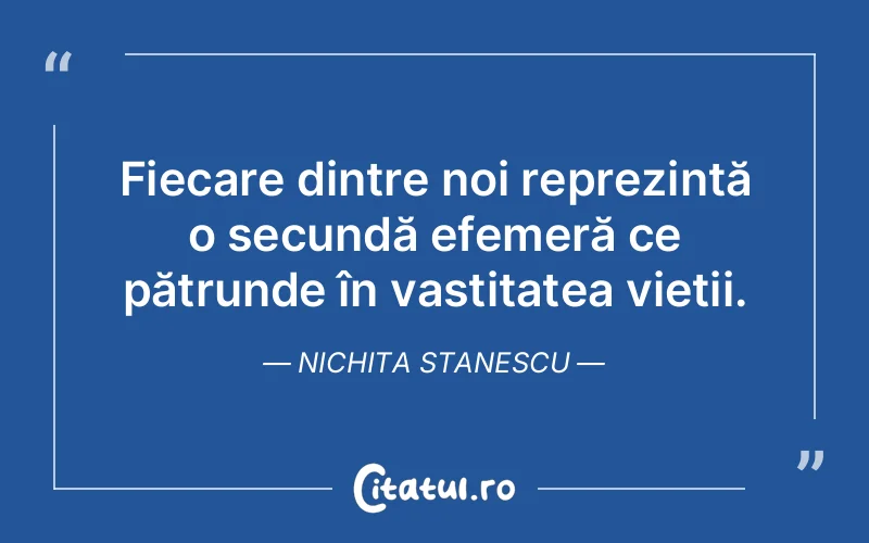 Citat Nichita Stanescu - citate viata