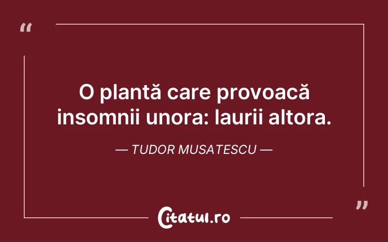 Citat Tudor Musatescu - citate viata