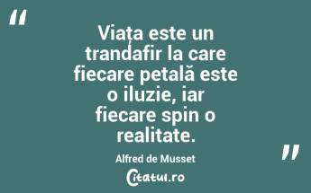 Viaţa este un trandafir la care fiecare petală este o iluzie, iar fiecare spin o realitate. Alfred de Musset...