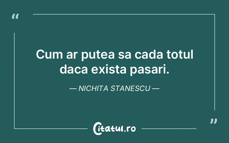 Citat Nichita Stanescu - citate viata