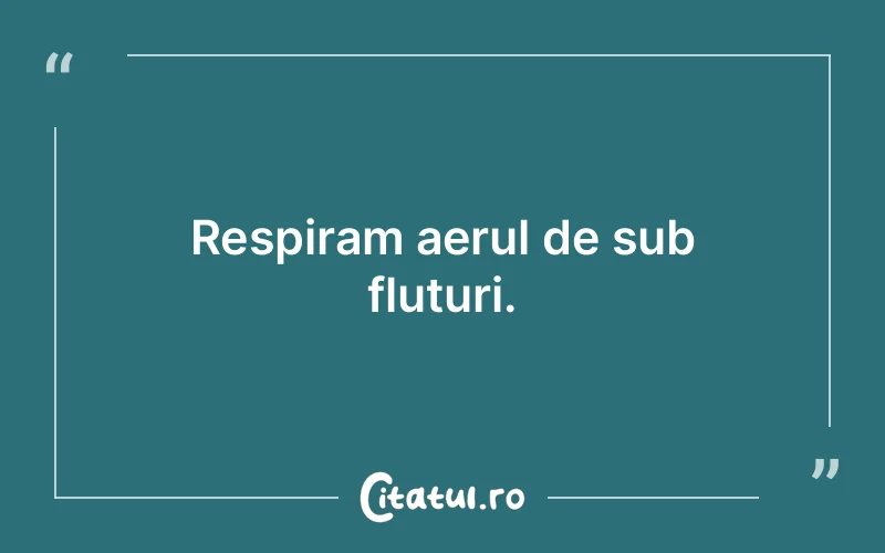 Citat Autor necunoscut - citate viata