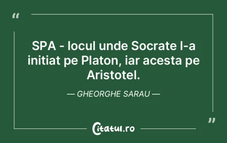 Toţi sunt nebuni, iar cel care înţele... Toţi sunt nebuni, iar cel care înţele...