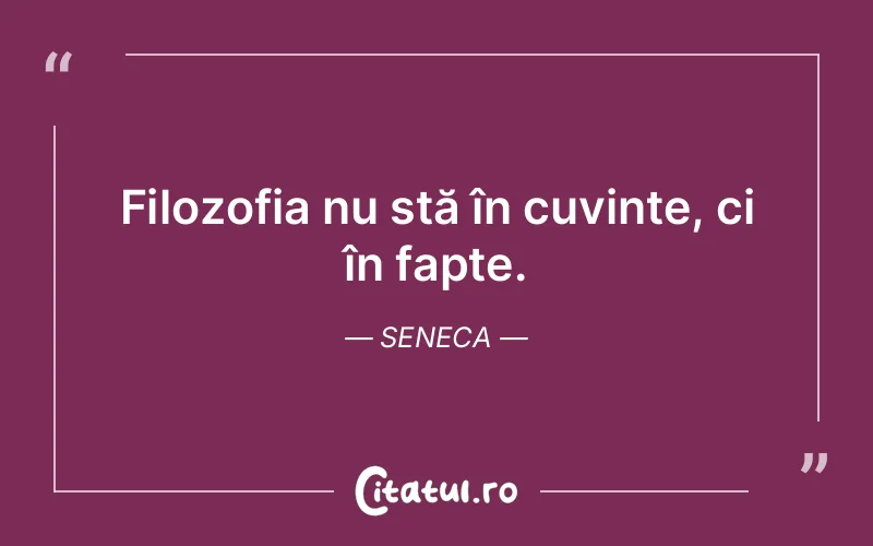 Citat Seneca - citate viata