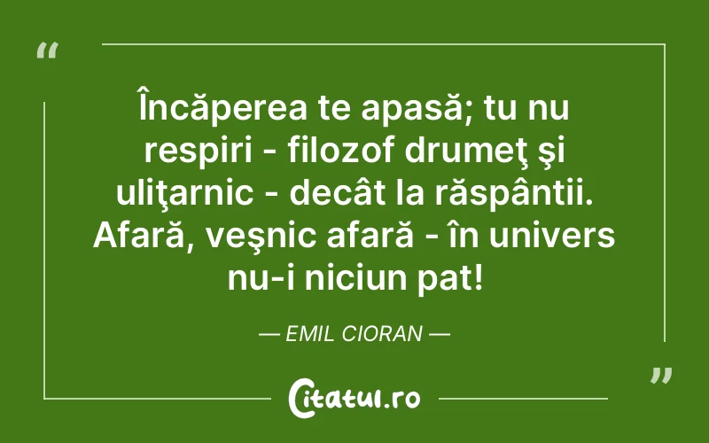 Citat Emil Cioran - citate viata