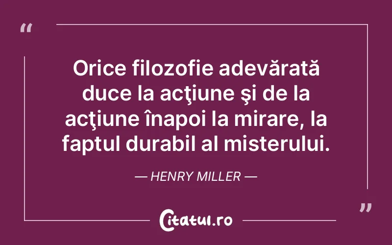 Citat Henry Miller - citate viata