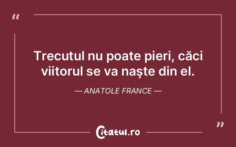 Citat Anatole France - citate viata