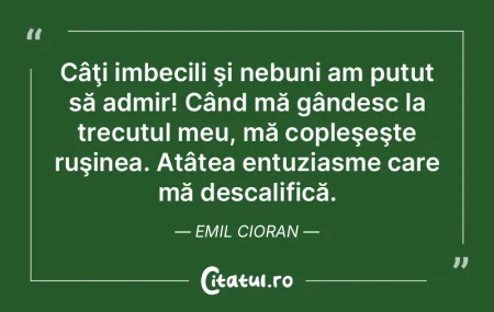 A fost minunat că s-a descoperit Americ... A fost minunat că s-a descoperit Americ...