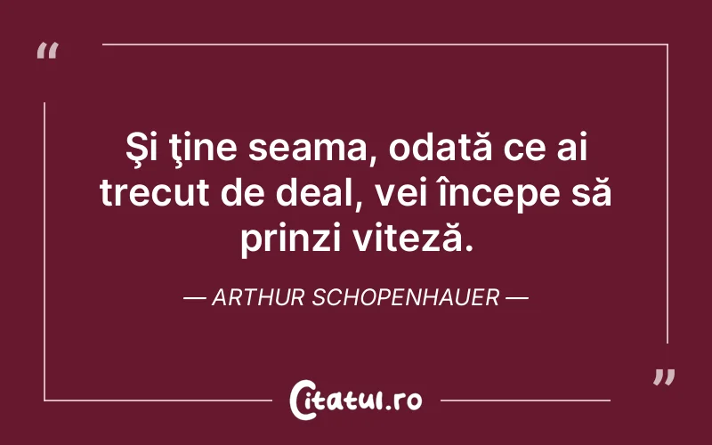 Citat Arthur Schopenhauer - citate viata