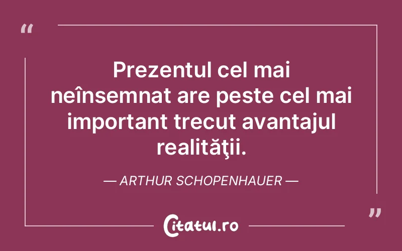 Citat Arthur Schopenhauer - citate viata