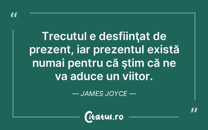 Citat James Joyce - citate viata