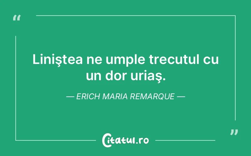 Citat Erich Maria Remarque - citate viata