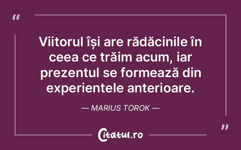Citat Marius Torok - citate viata