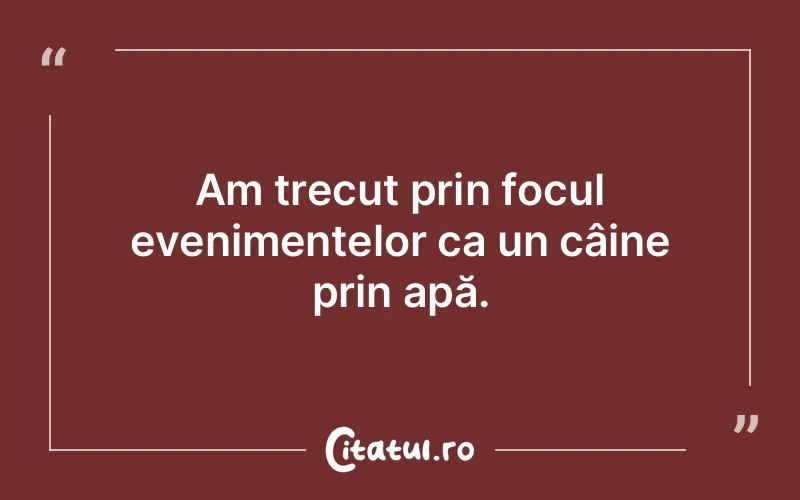 Citat Autor necunoscut - citate viata