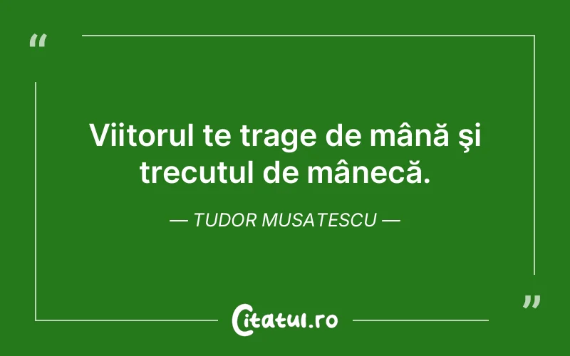 Citat Tudor Musatescu - citate viata