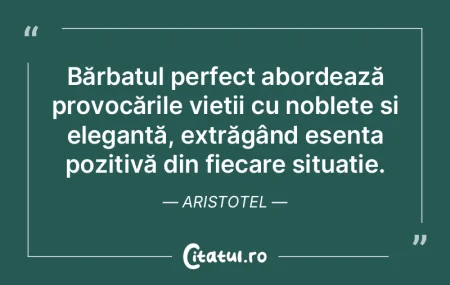 Bărbatul perfect abordează provocăril...