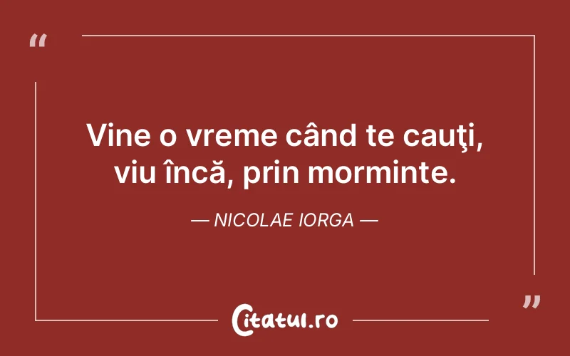 Citat Nicolae Iorga - citate viata