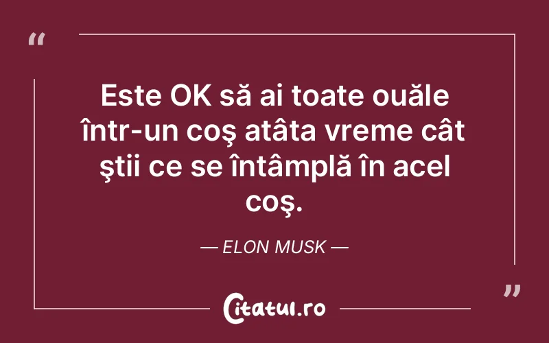 Citat Elon Musk - citate viata