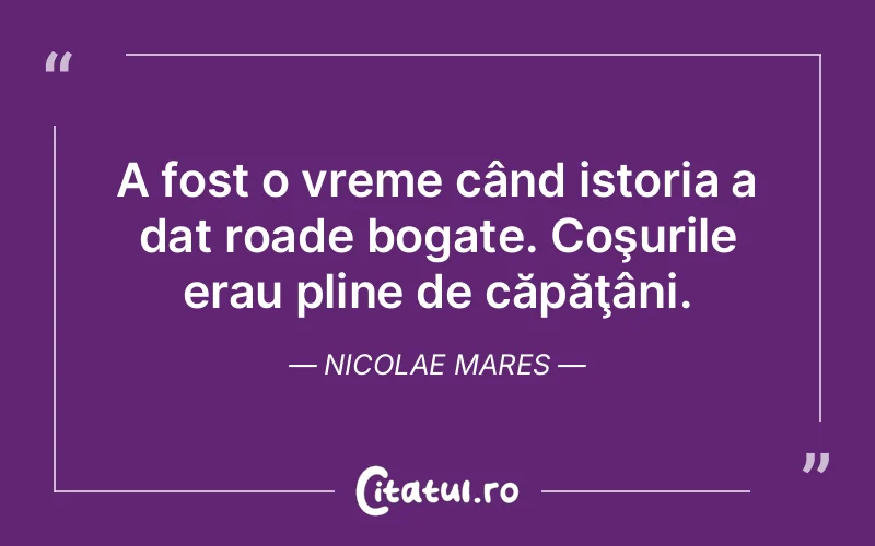 Citat Nicolae Mares - citate viata