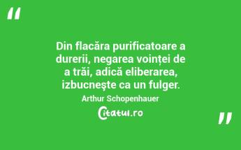 Din flacăra purificatoare a durerii, negarea voinţei de a trăi, adică eliberarea, izbucneşte ca un fulger. Arthur Schopenhauer...