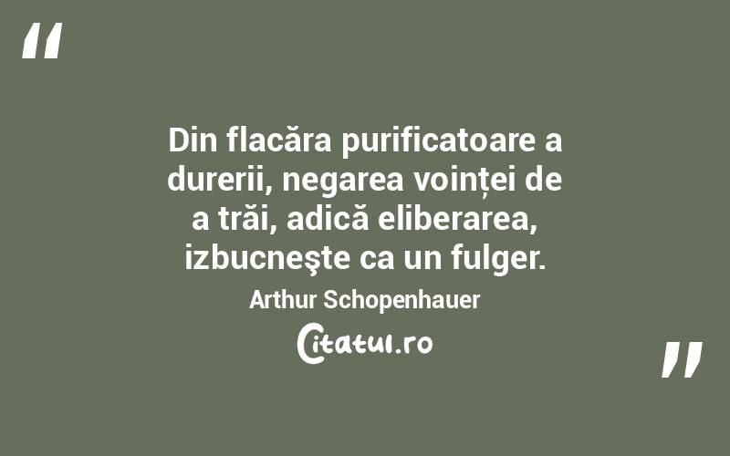 Din flacăra purificatoare a durerii, negarea voinţei de a trăi, adică eliberarea, izbucneşte ca un fulger. Arthur Schopenhauer