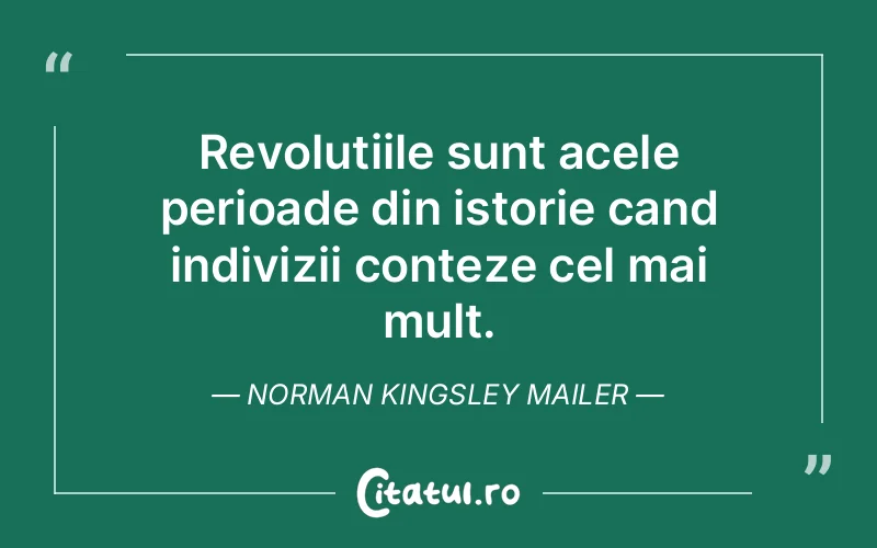 Citat Norman Kingsley Mailer - citate viata