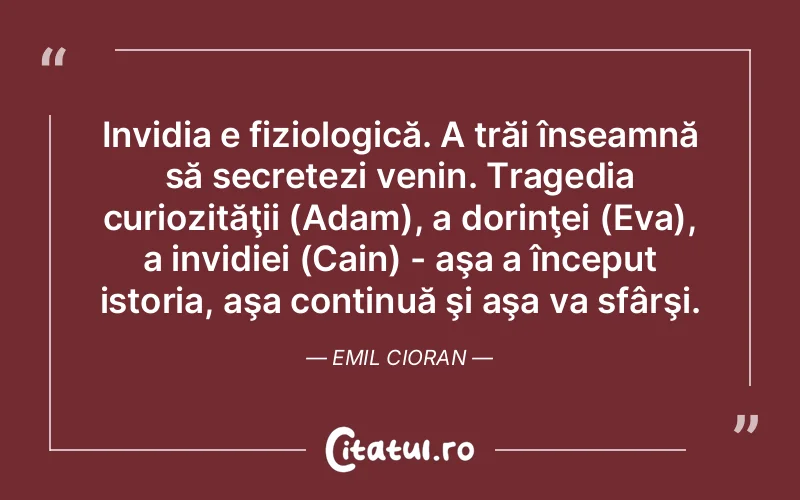 Citat Emi - citate viata