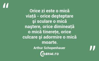 Orice zi este o mică viaţă - orice deşteptare şi sculare o mică naştere, orice dimineaţă o mică tinereţe, orice culcare şi adormire o mică moarte. Arthur Schopenhauer...