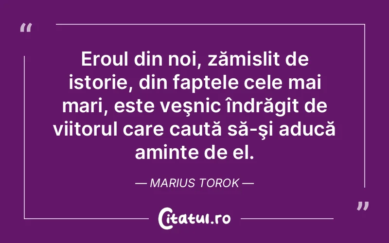 Citat Marius Torok - citate viata