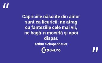 Capriciile născute din amor sunt ca licuricii: ne atrag cu fanteziile cele mai vii, ne bagă-n mocirlă şi apoi dispar. Arthur Schopenhauer...